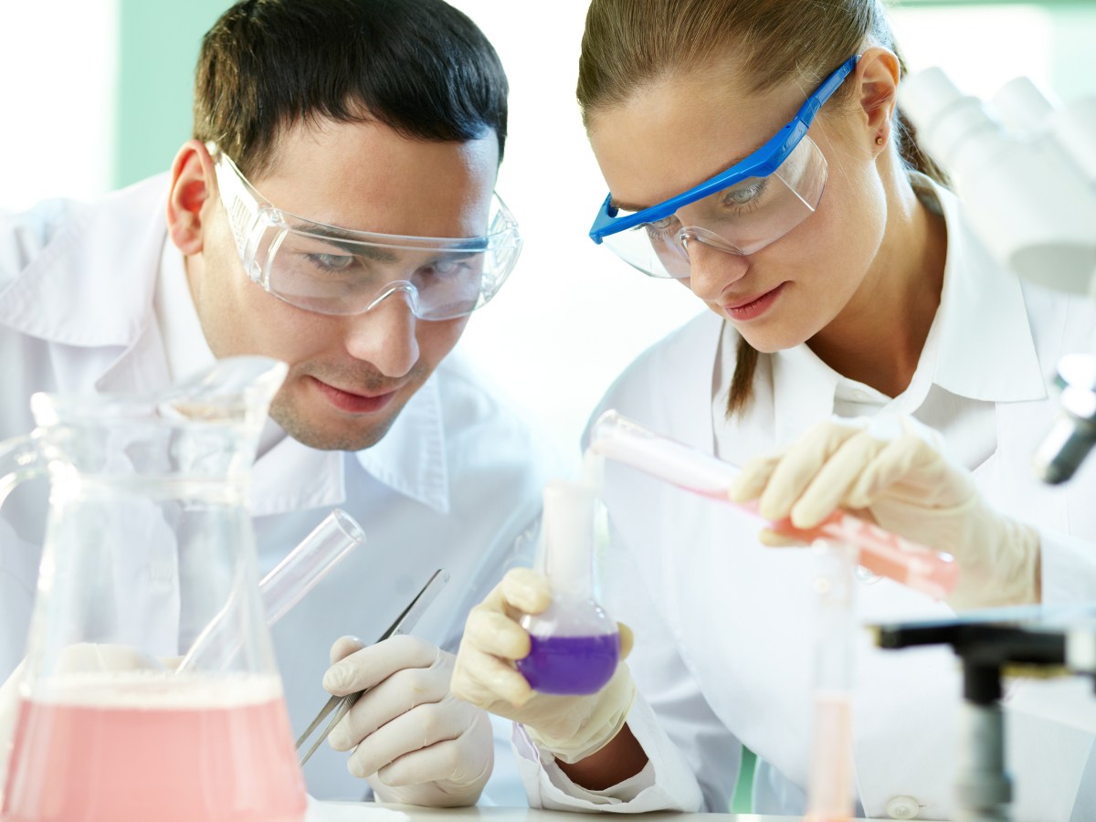 Encuentro sobre el Postgrado de&nbsp;Toxicología